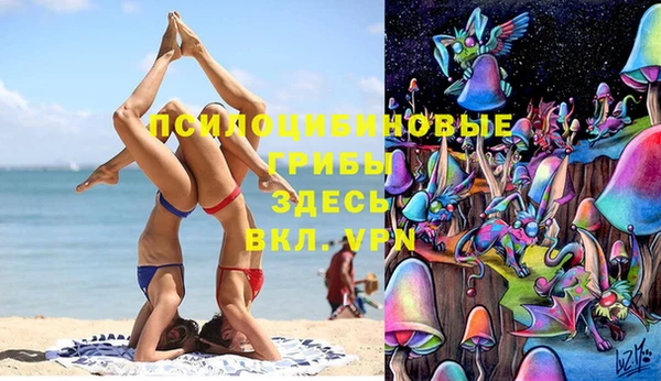 гидра Рославль