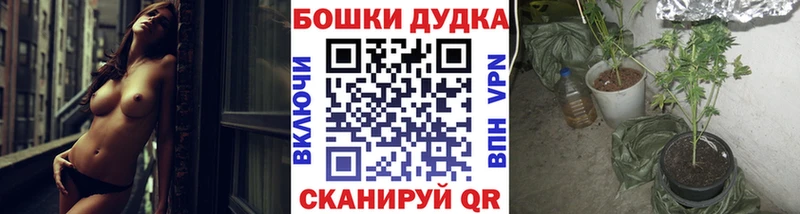 хочу наркоту  Сосногорск  Каннабис индика 